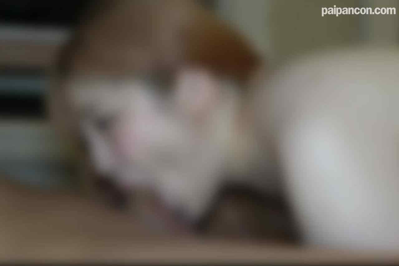 FC2-PPV-4720138 - ※13日まで初回限定85％OFF※【無修正】【顔出し】【中出し】クイズです。Kカップ爆乳人妻は何回潮を吹いたでしょうか？正解者には秘蔵映像プレゼント thumbnail_6.jpg